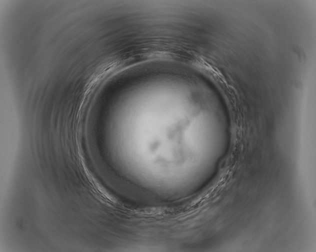 X0000113930049200909251228