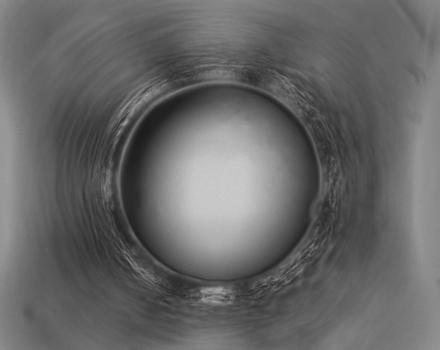 X0000113930050200909251228