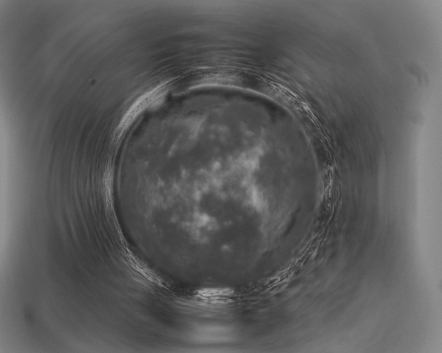 X0000113930051200909251228