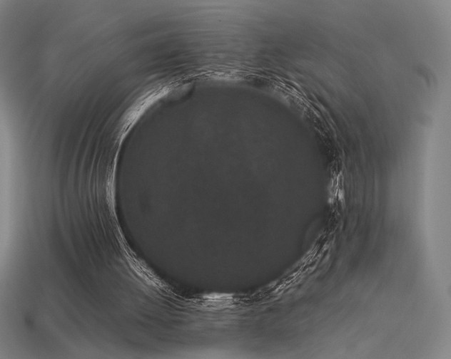 X0000113930052200909251228