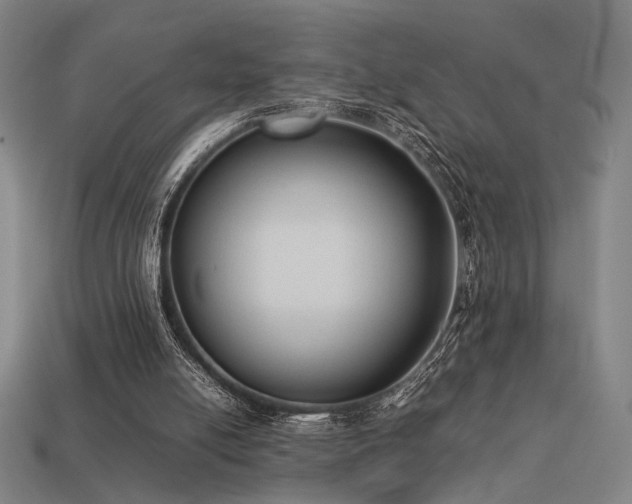 X0000113930054200909251228