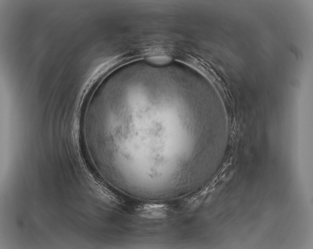 X0000113930055200909251228