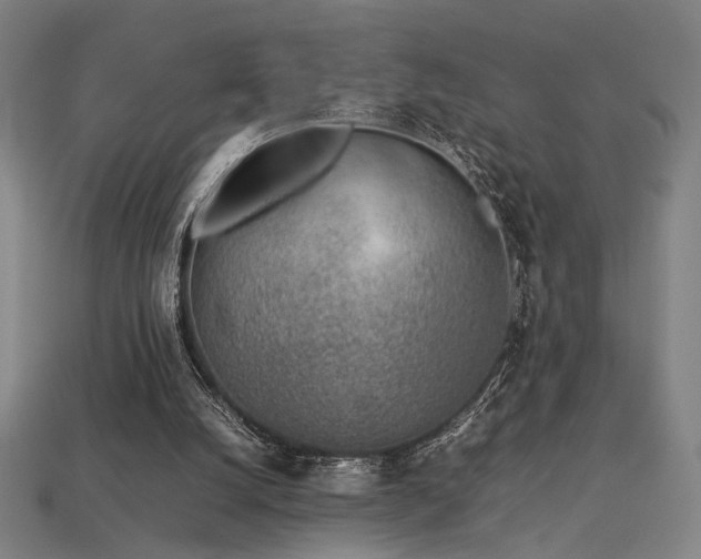 X0000113930056200909251228