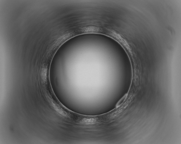 X0000113930057200909251228