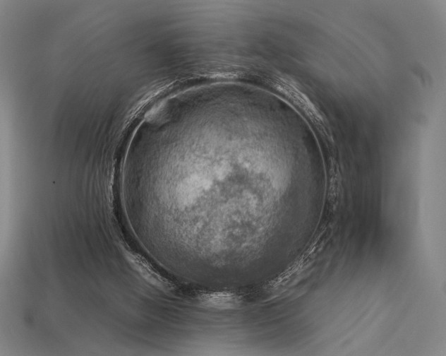 X0000113930058200909251228