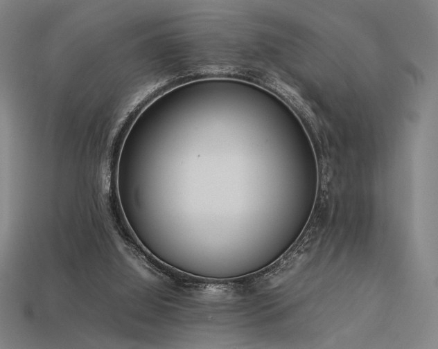 X0000113930060200909251228