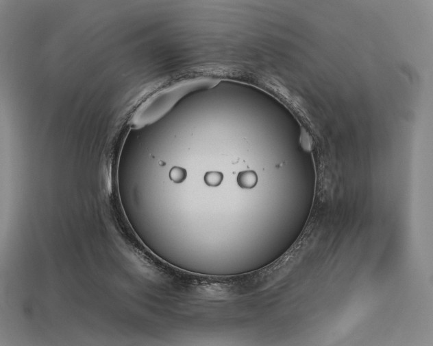 X0000113930062200909251228
