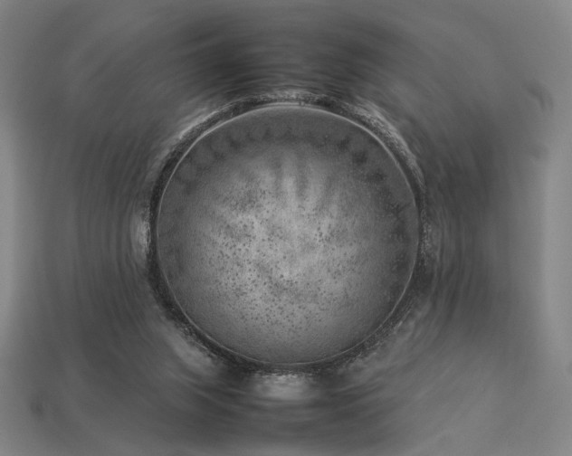 X0000113930063200909251228