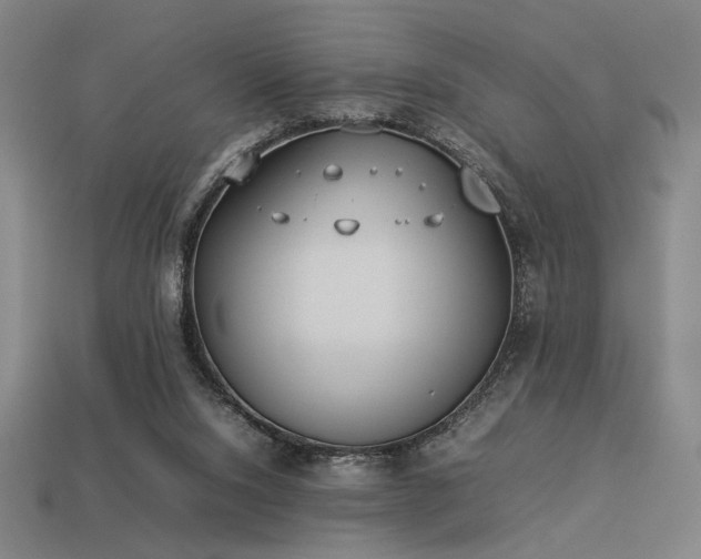 X0000113930064200909251228