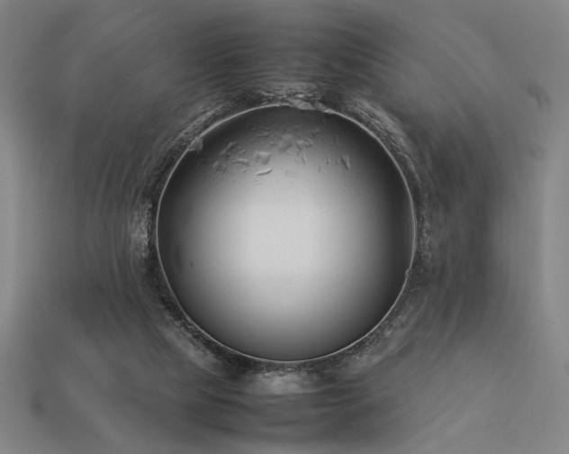 X0000113930065200909251228