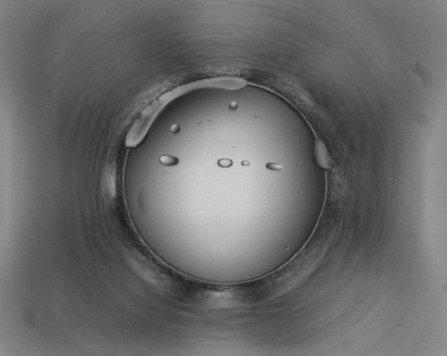 X0000113930068200909251228