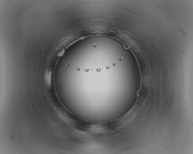 X0000113930070200909251228