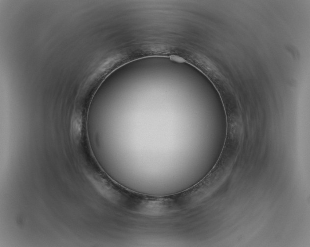 X0000113930072200909251228