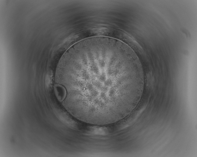 X0000113930073200909251228