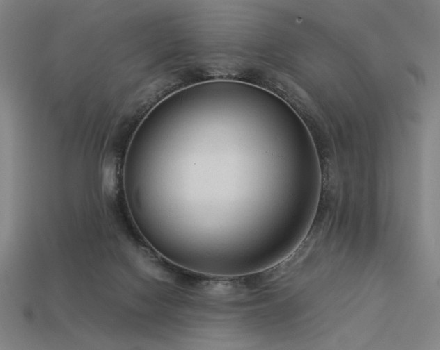X0000113930074200909251228