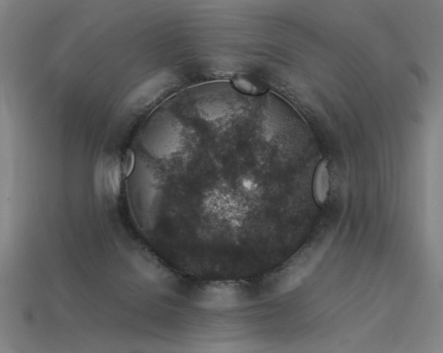 X0000113930076200909251228