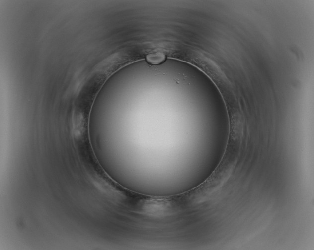 X0000113930077200909251228