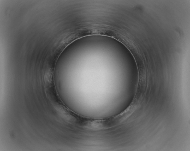 X0000113930078200909251228