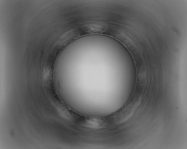 X0000113930079200909251228