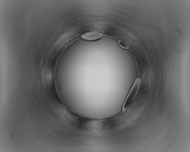 X0000113930084200909251228