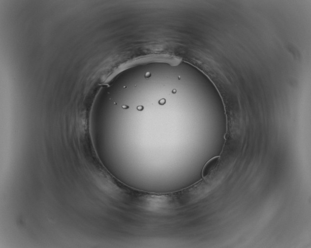 X0000113930085200909251228