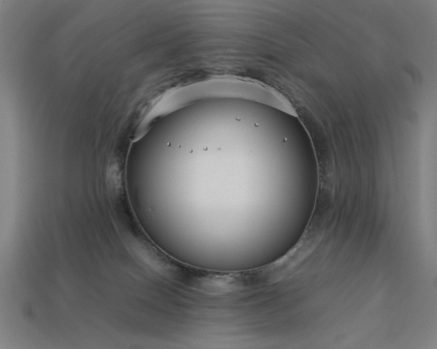 X0000113930086200909251228