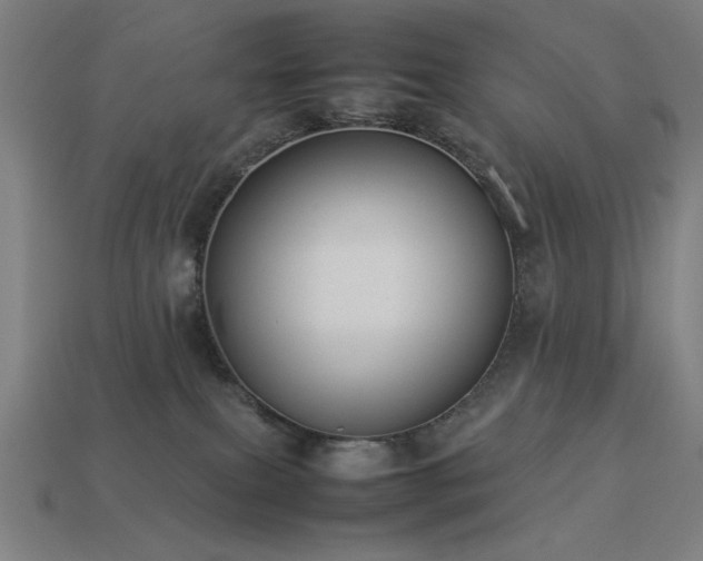 X0000113930087200909251228