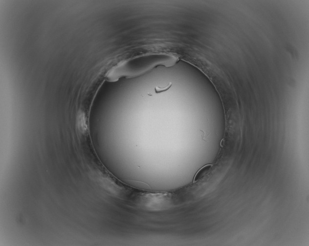 X0000113930089200909251228