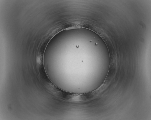 X0000113930090200909251228
