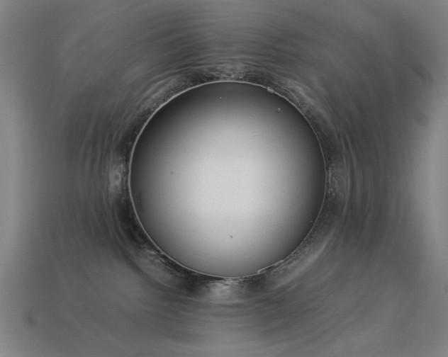 X0000113930092200909251228