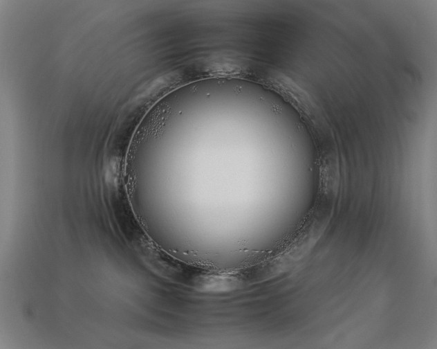 X0000113930093200909251228