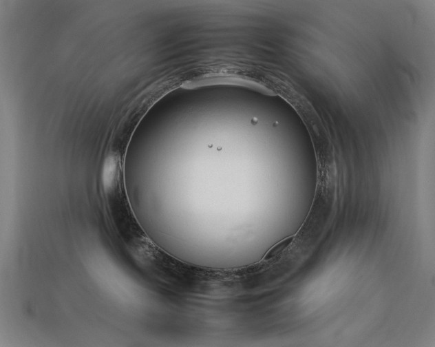 X0000113930095200909251228