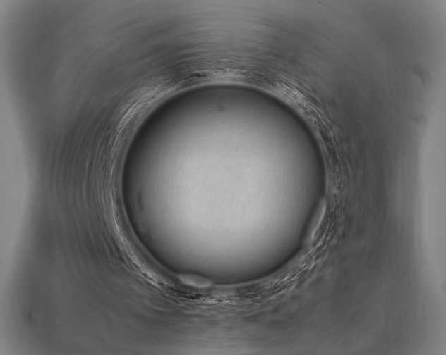 X0000113930097200909251228