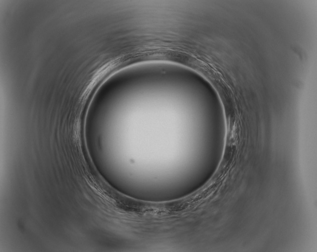 X0000113930099200909251227