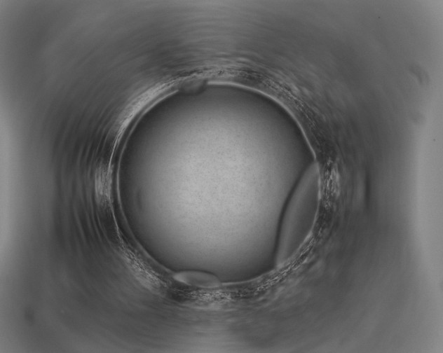 X0000113930100200909251227