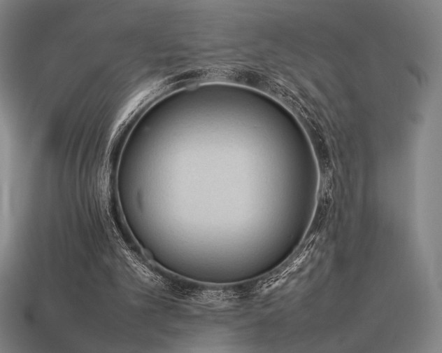 X0000113930101200909251227