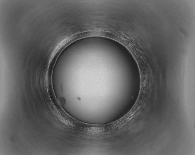 X0000113930102200909251227