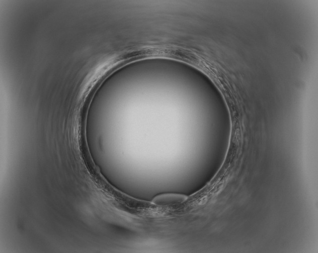 X0000113930103200909251227