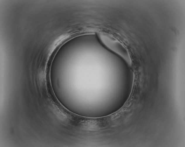 X0000113930104200909251227