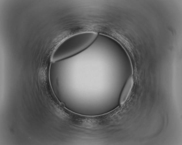 X0000113930105200909251227