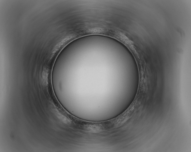 X0000113930106200909251227