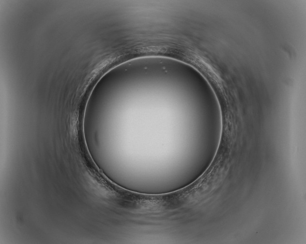 X0000113930107200909251227
