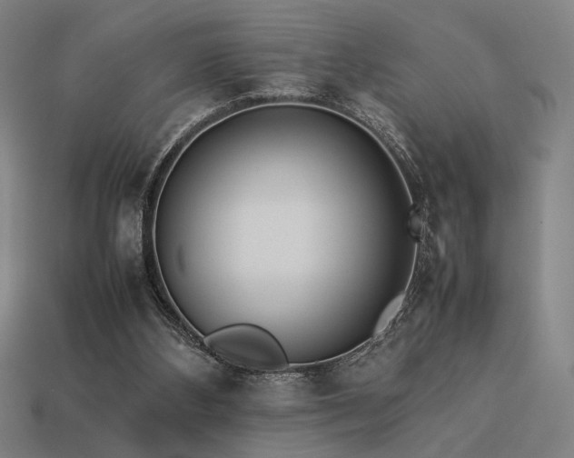 X0000113930108200909251227