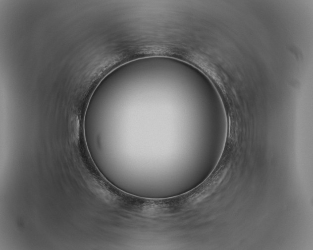 X0000113930109200909251227