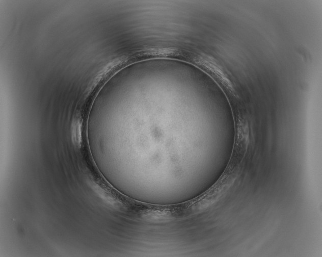 X0000113930110200909251227