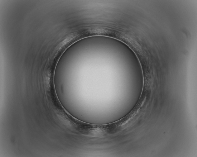 X0000113930111200909251227