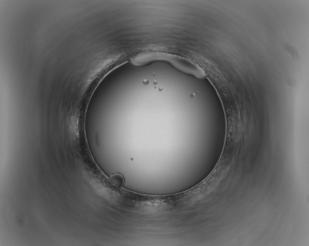 X0000113930112200909251227