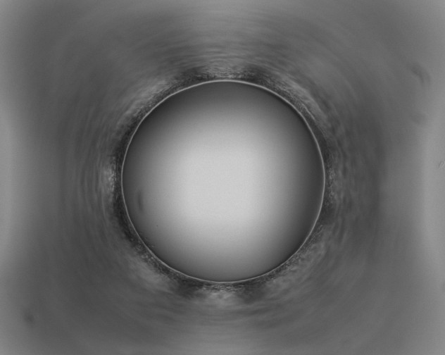 X0000113930113200909251227