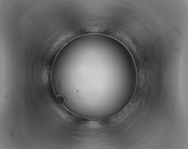 X0000113930114200909251227