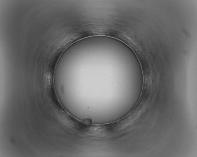 X0000113930117200909251227